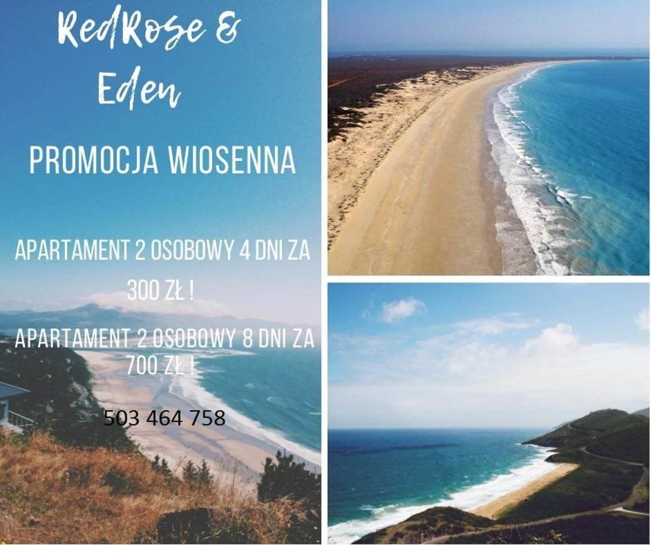 Resort Eden Domki, Apartamenty I Pokoje Jastrzębia Góra Buitenkant foto
